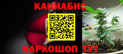 амф Новокубанск