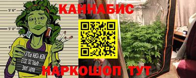 СК Новодвинск