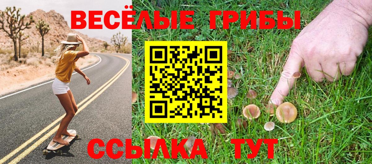 Галлюциногенные грибы Magic Shrooms  Вход с VPN  где найти наркотики  Шарыпово 